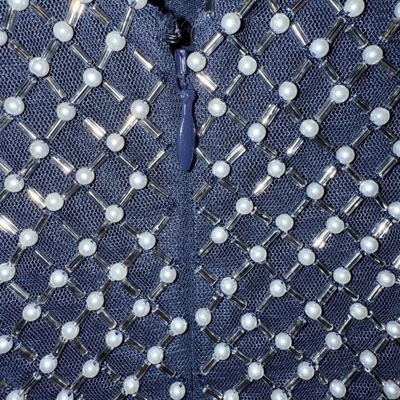 Adrianna Papell Long Mesh Embellished Gown - Picture 8 of 16